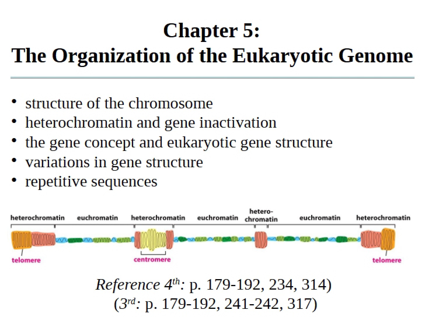 Genome Chapter 05