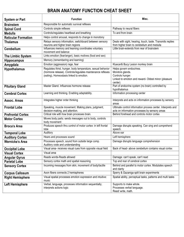 Brain Anatomy and Functions Cheat Sheet