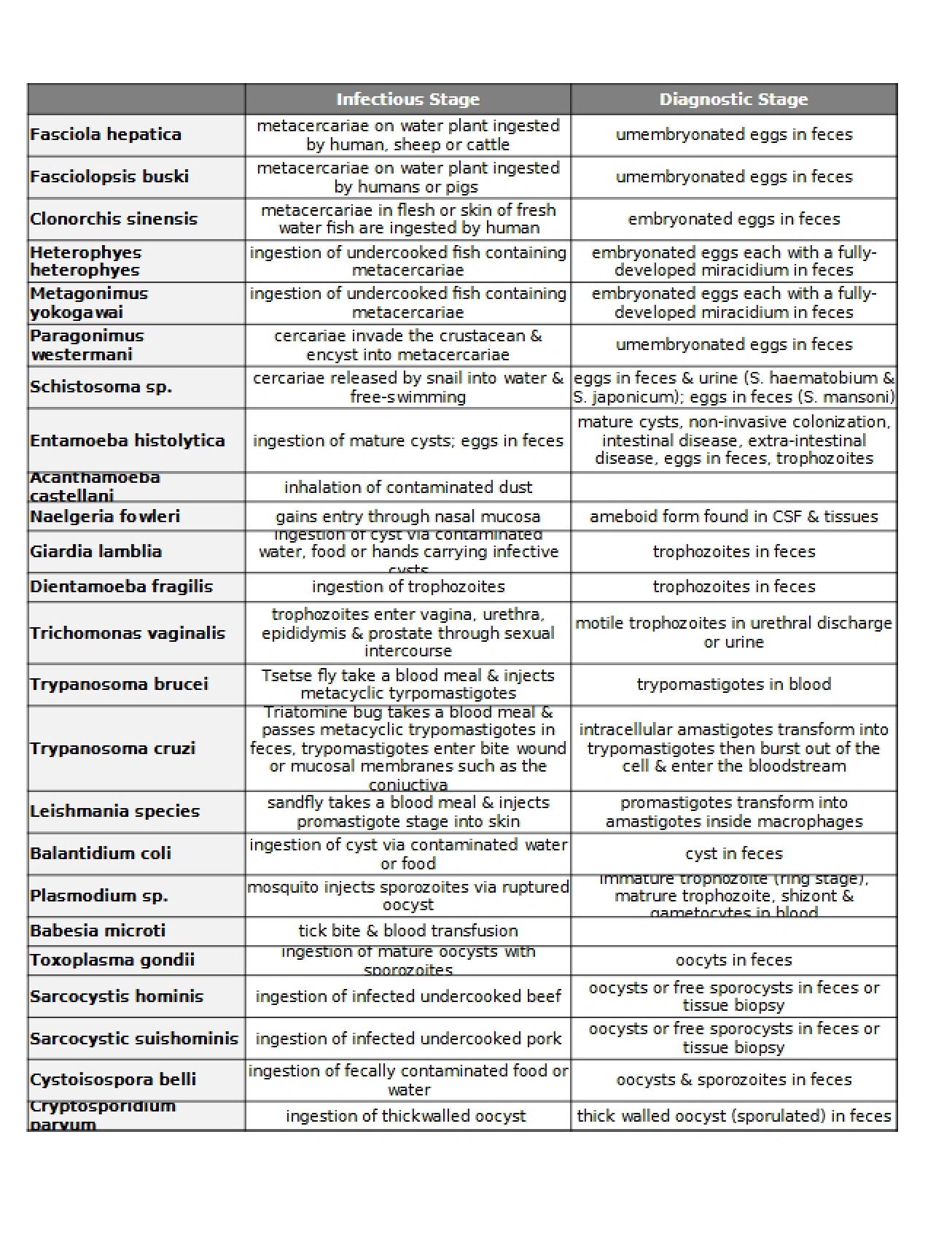 Fasciola Hepatica - 2 Pages