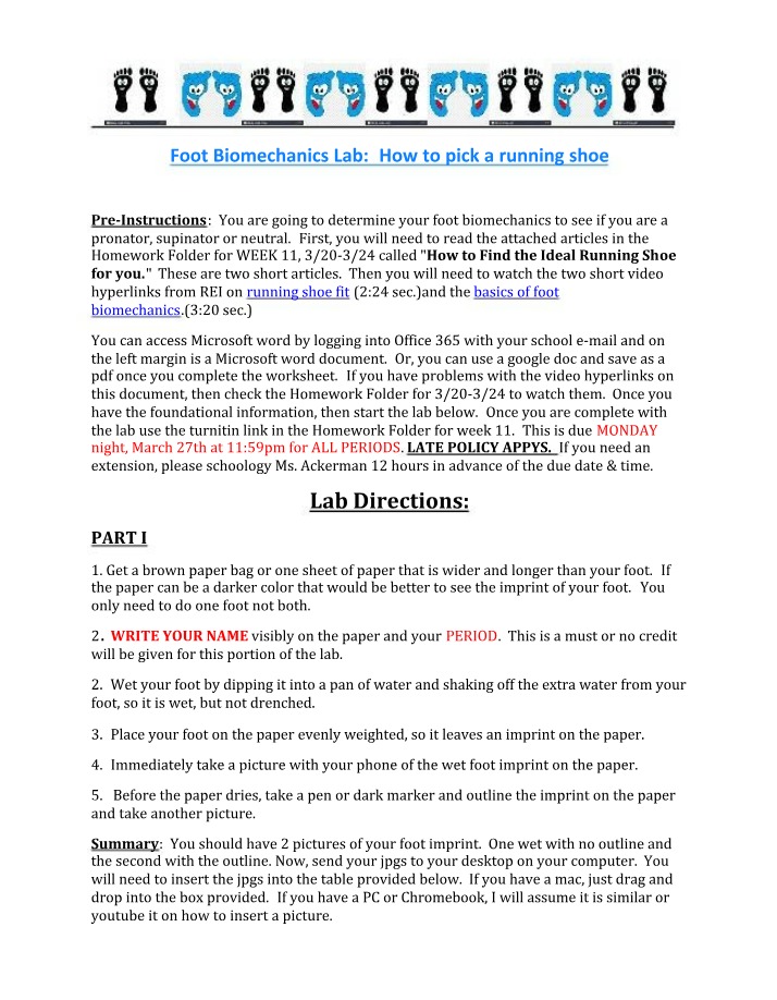 Foot Biomechanics - How to Pick a Running Shoe