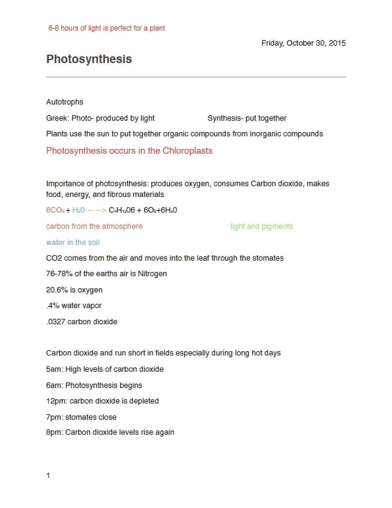 Photosynthesis Process