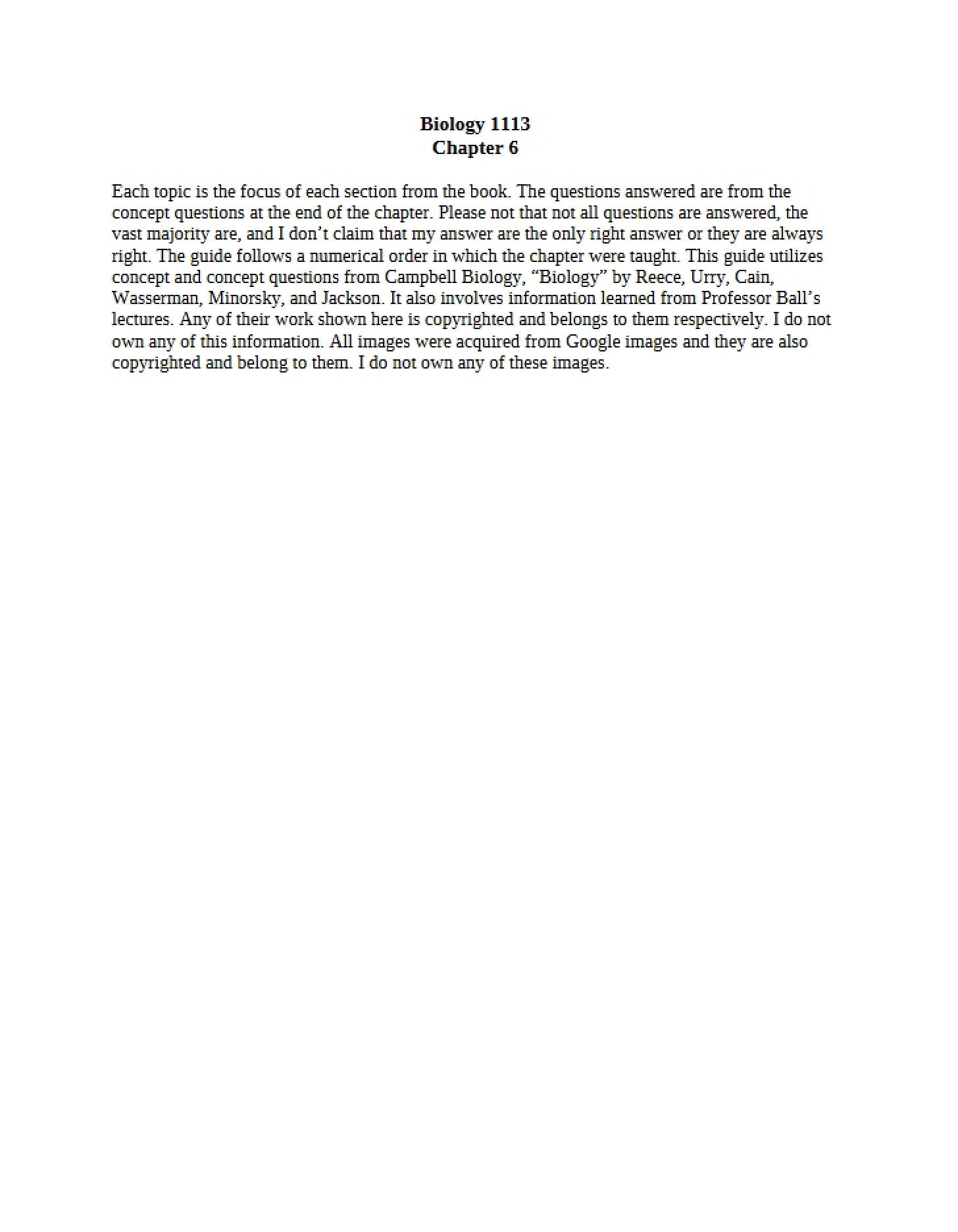 Sixth Chapter