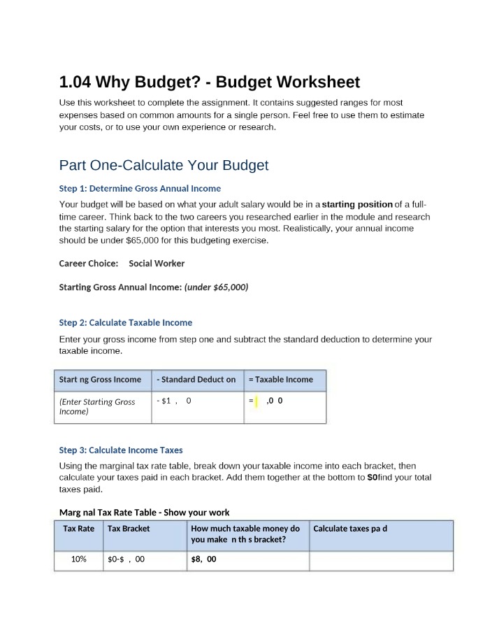 Social Worker Career Budget Worksheet