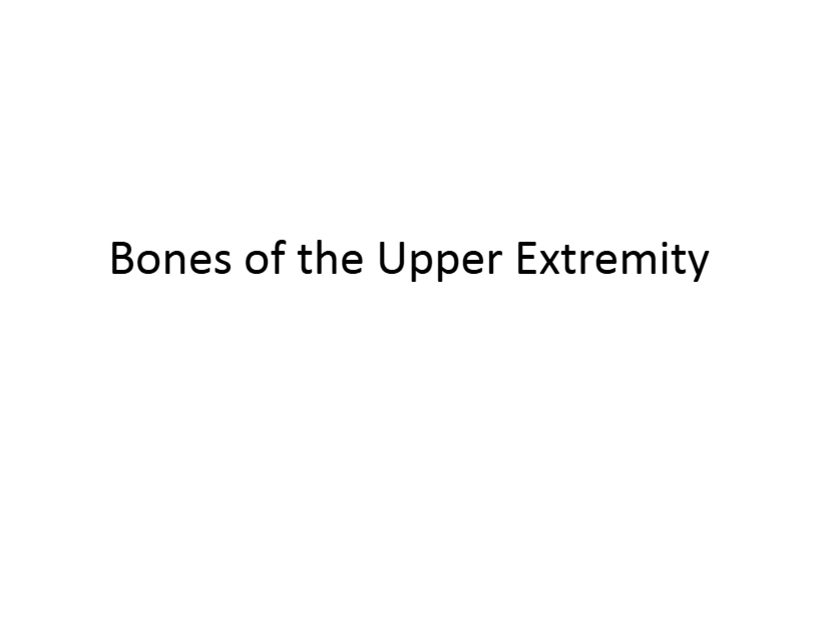 Upper Extremity Bones