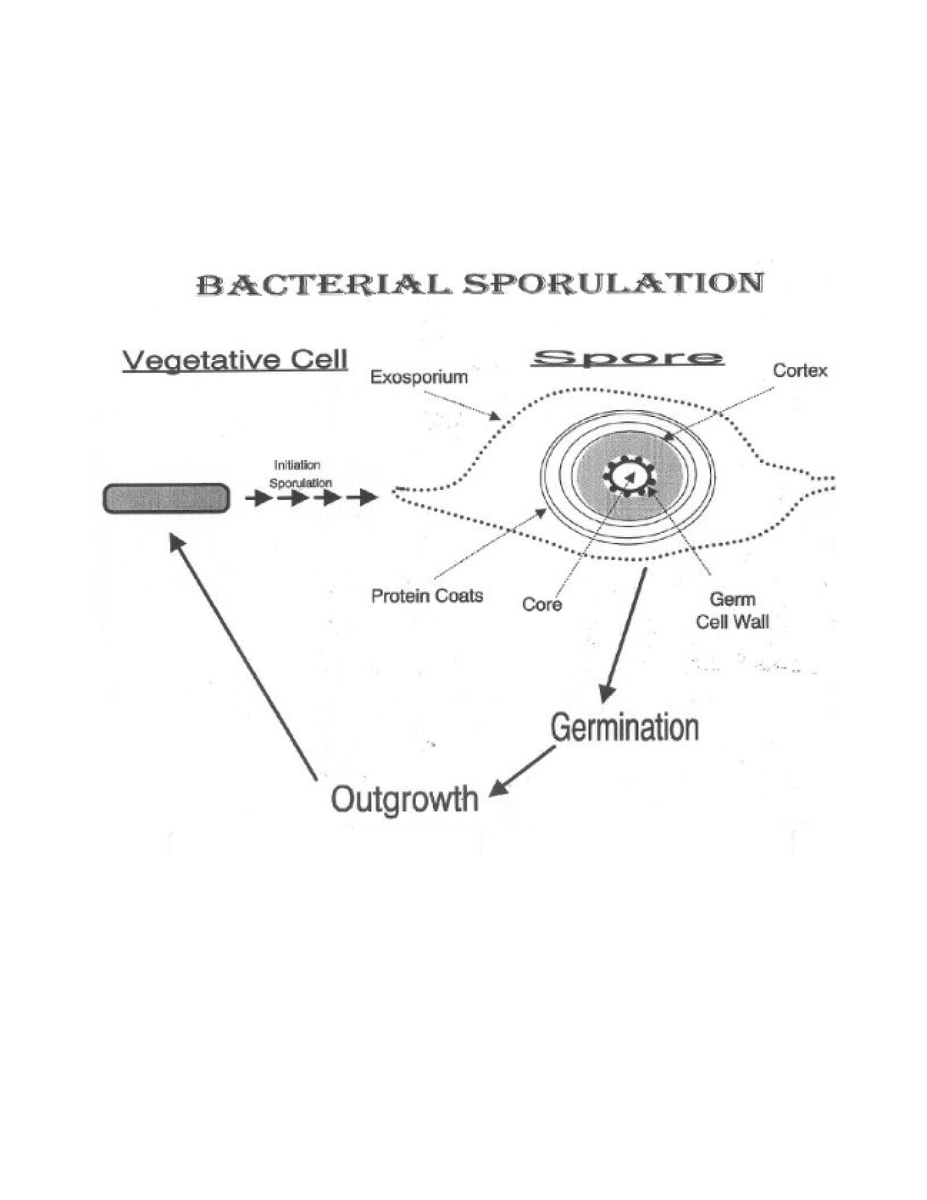 Medical Microbiology Lesson Material