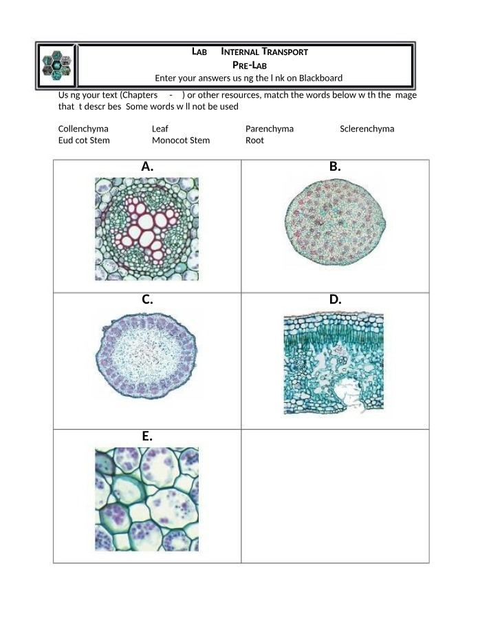 Pre-Lab Worksheet 5