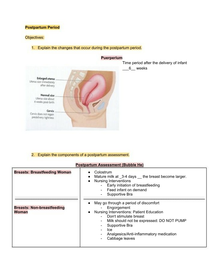 Postpartum Period - Changes, Assessments, and Newborn Care