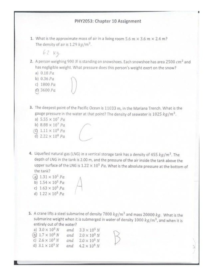 Chapter 10 Assignment Solutions