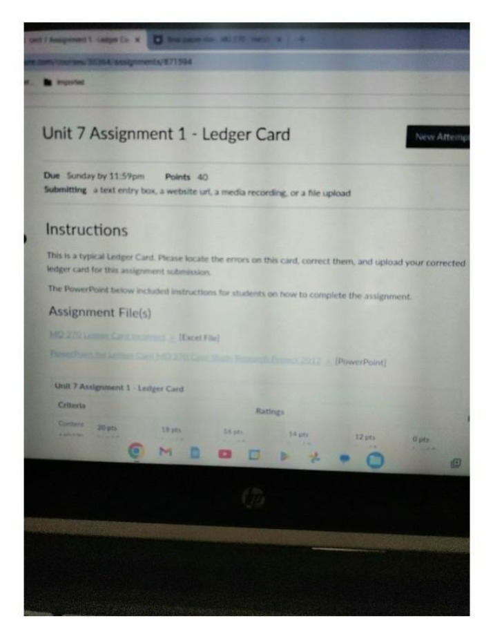 Ledger Card - Unit 7 Assignment 1