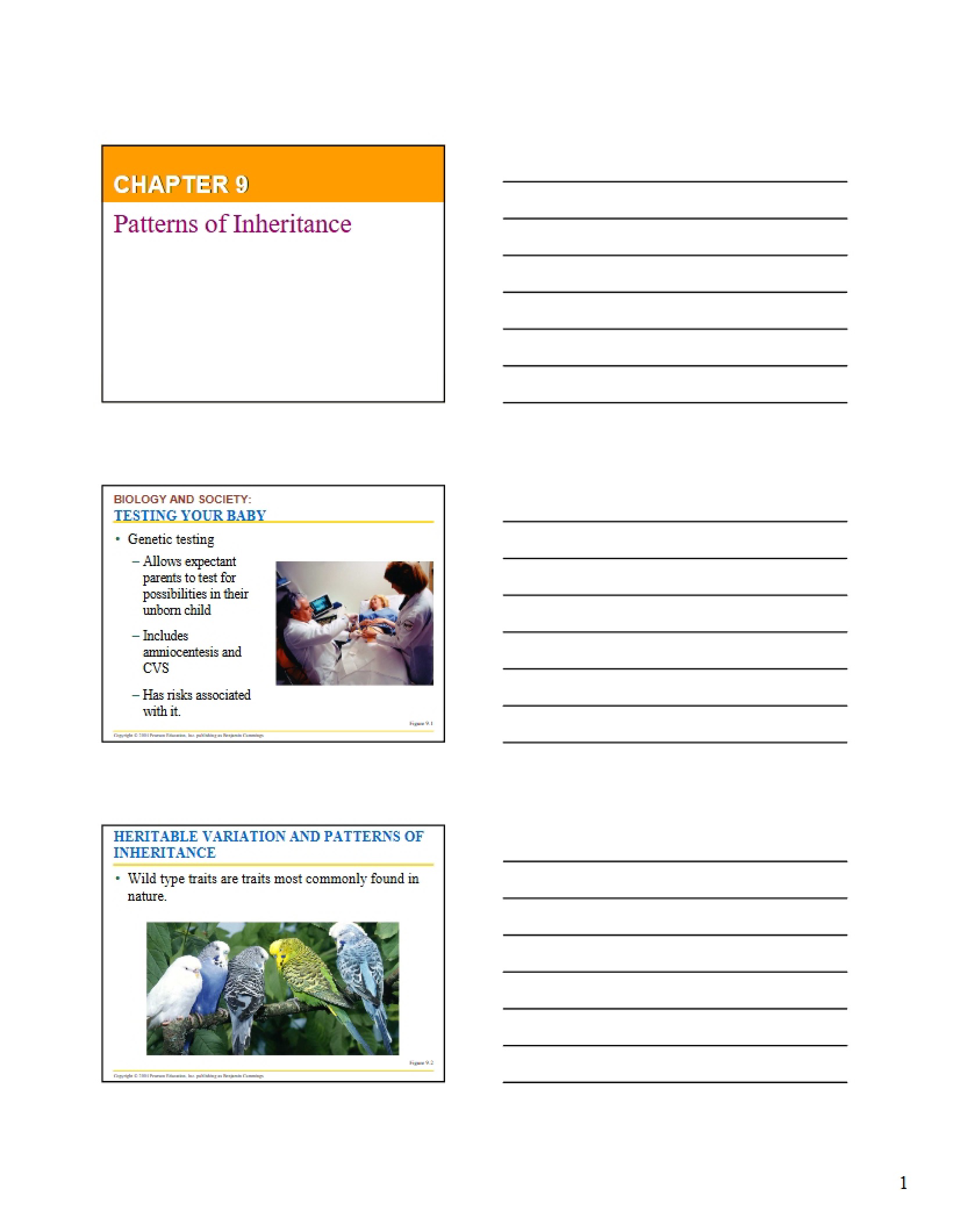 Inheritance Patterns Chapter Nine