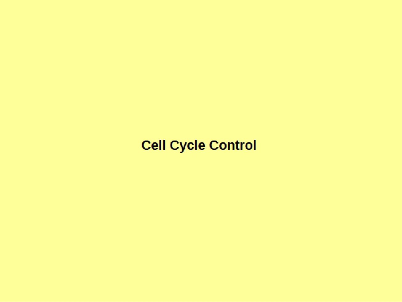 Fourth Revised Lecture from 2014 for a Cell Biology Course
