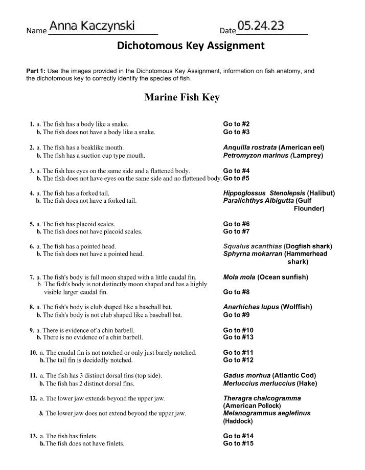 Dichotomous Key Assignment for Marine Fish