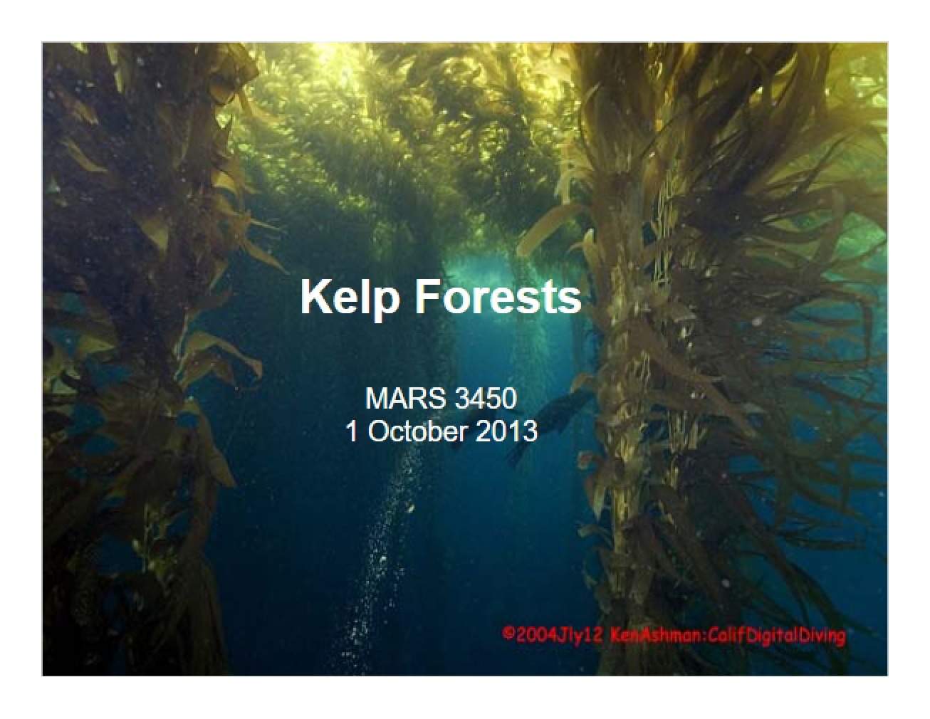 Kelps Ecosystems (3)