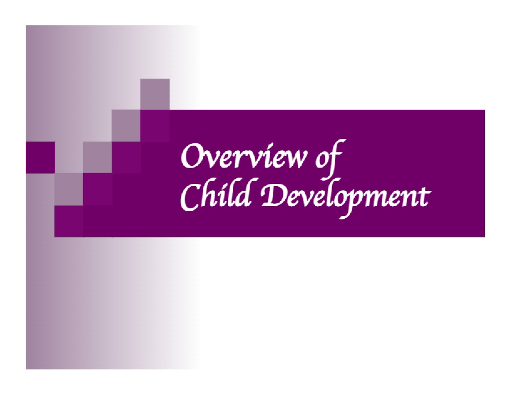 Child Development Overview