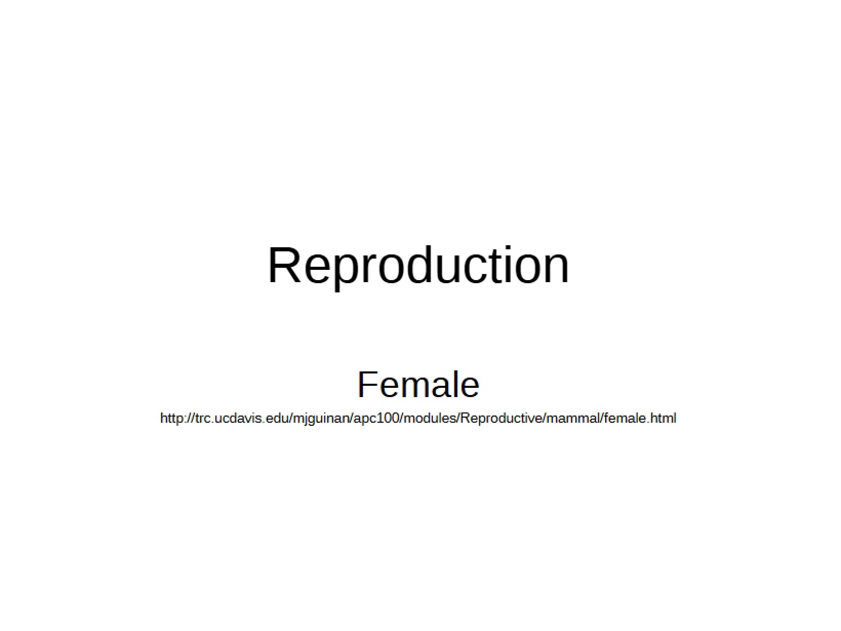 Animal Reproduction
