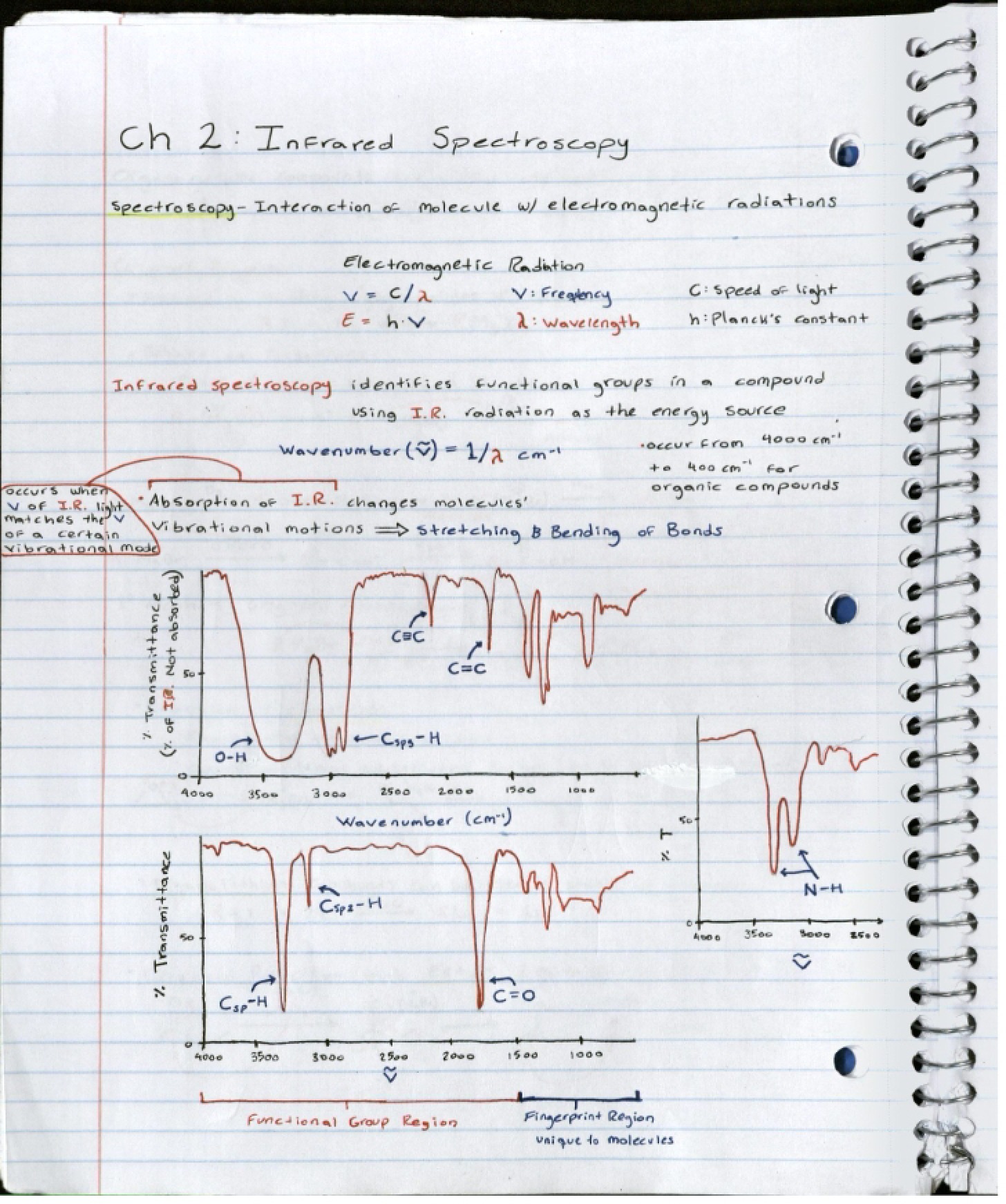 First Exam Sample Questions