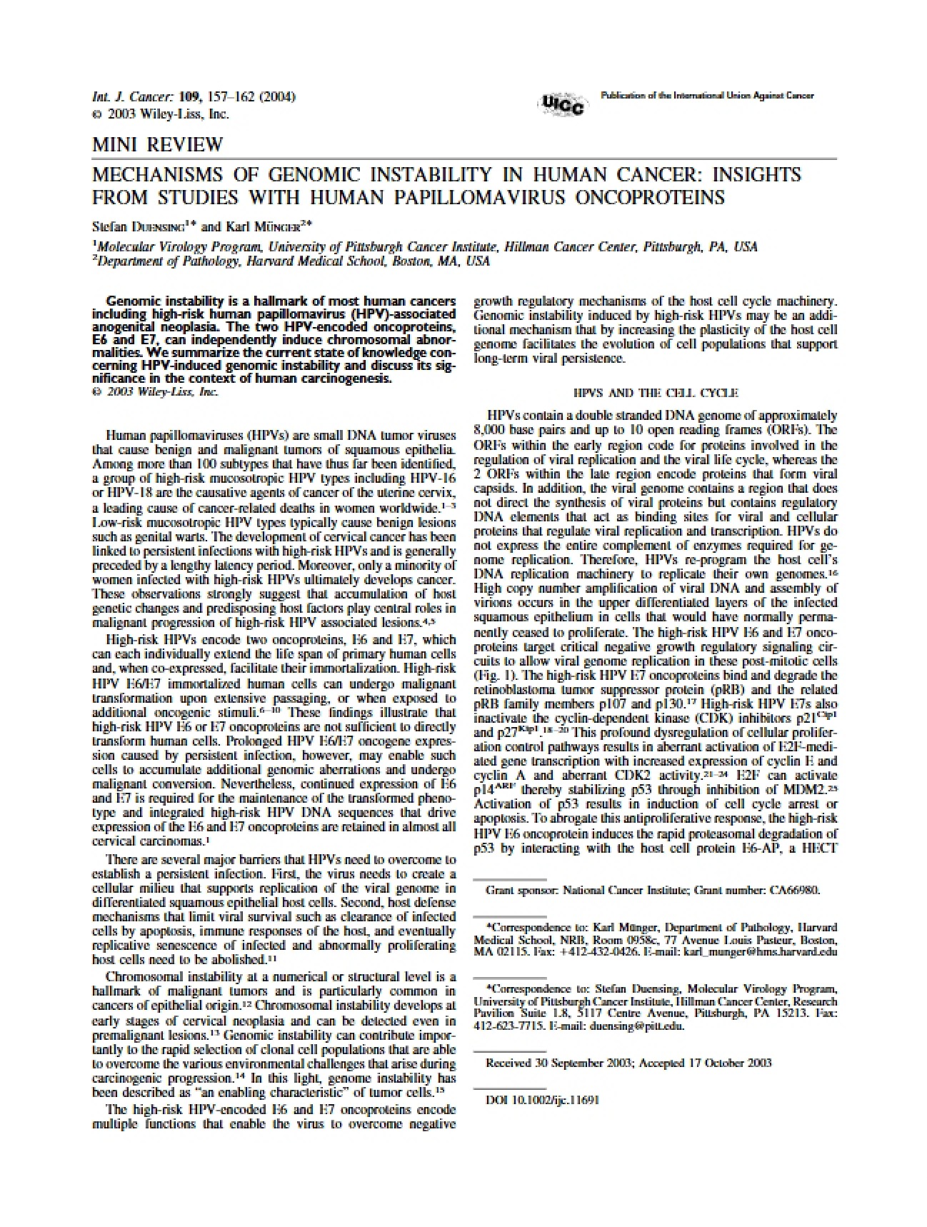 Instability Mechanisms in Genomes