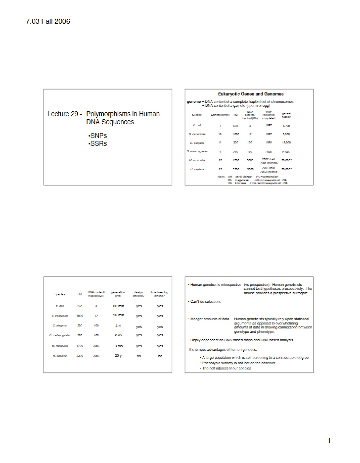 Human DNA Sequence Polymorphisms (Lecture 29)