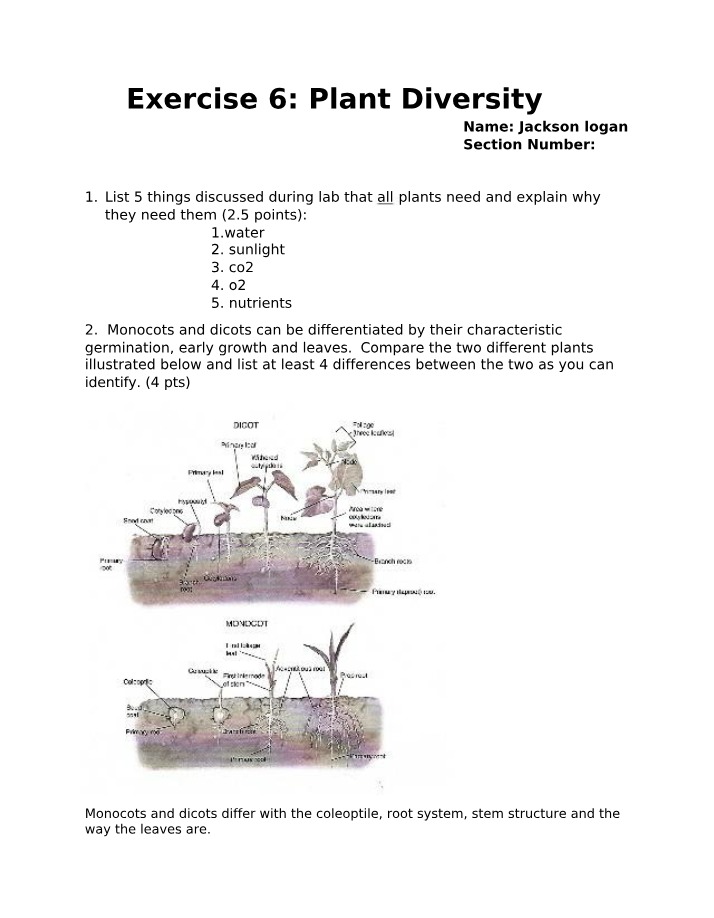 Plant Diversity Worksheet