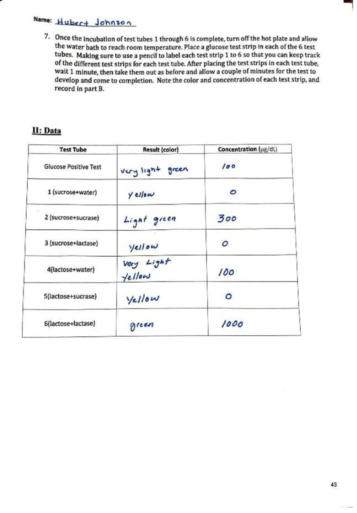 Analysis of Sucrose and Glucose Hydrolysis Test Results