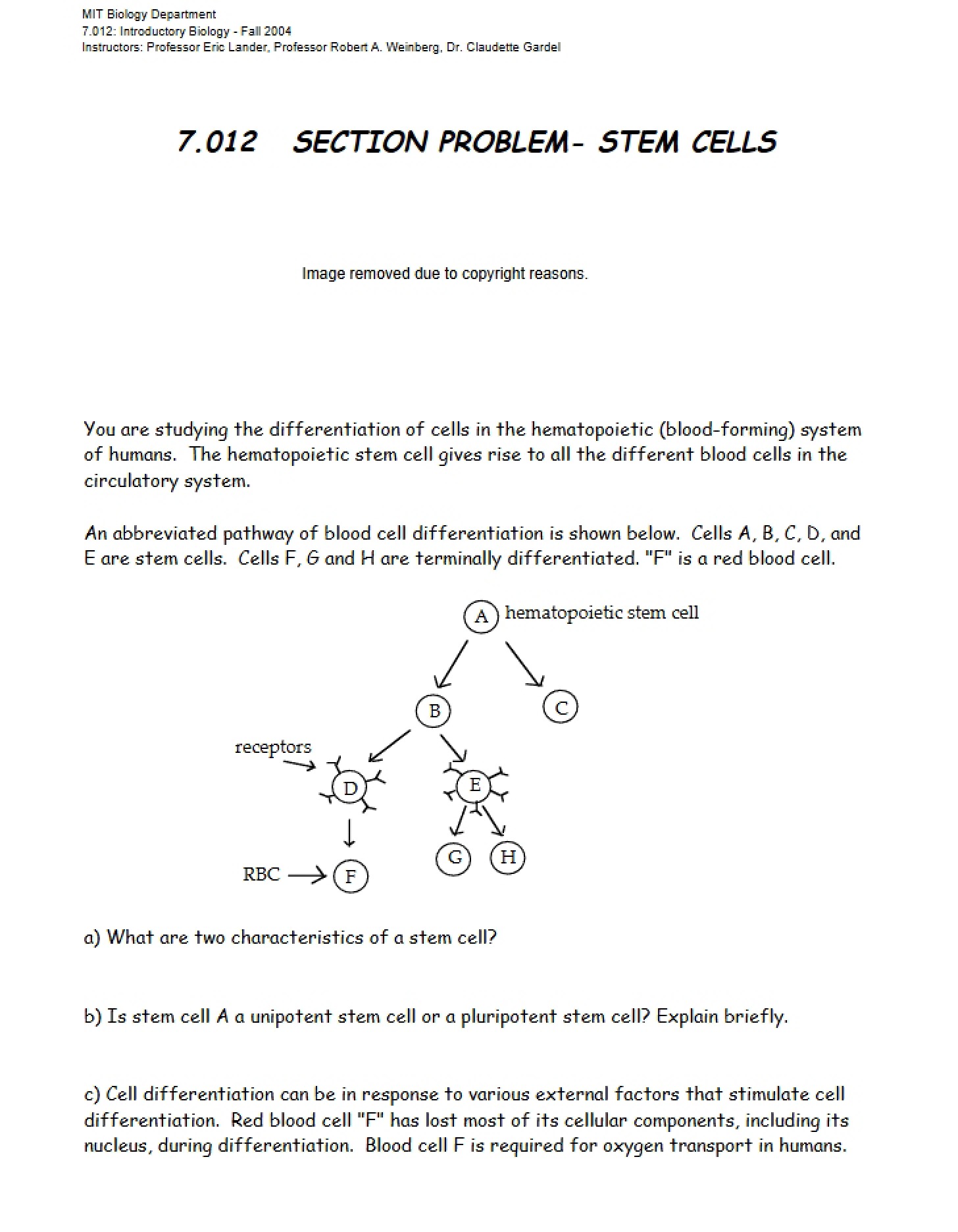 Stem Cells Section Problem