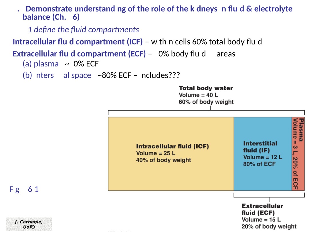 Fluid and Electrolyte Balance Lecture Notes