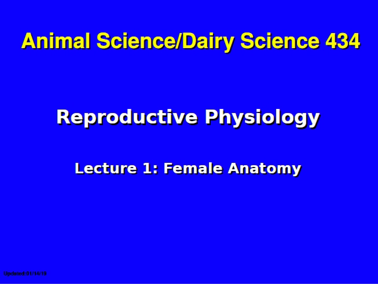 Female Anatomy Notes (Lecture 1)