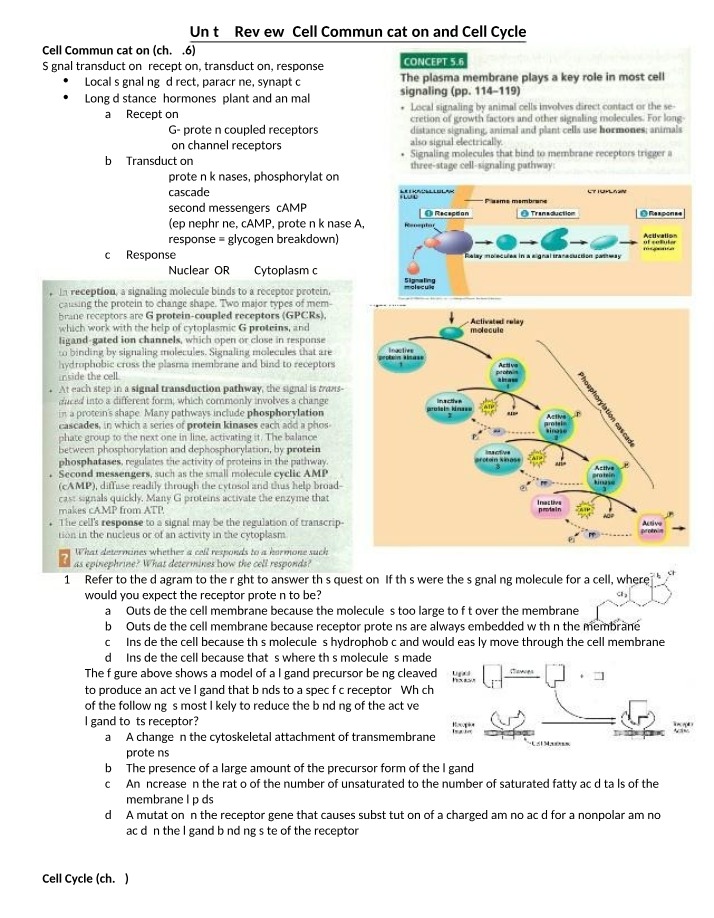 Unit 4 Review - Cell Communication and Cycle