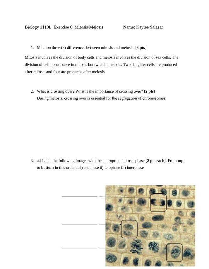 Mitosis and Meiosis Differences