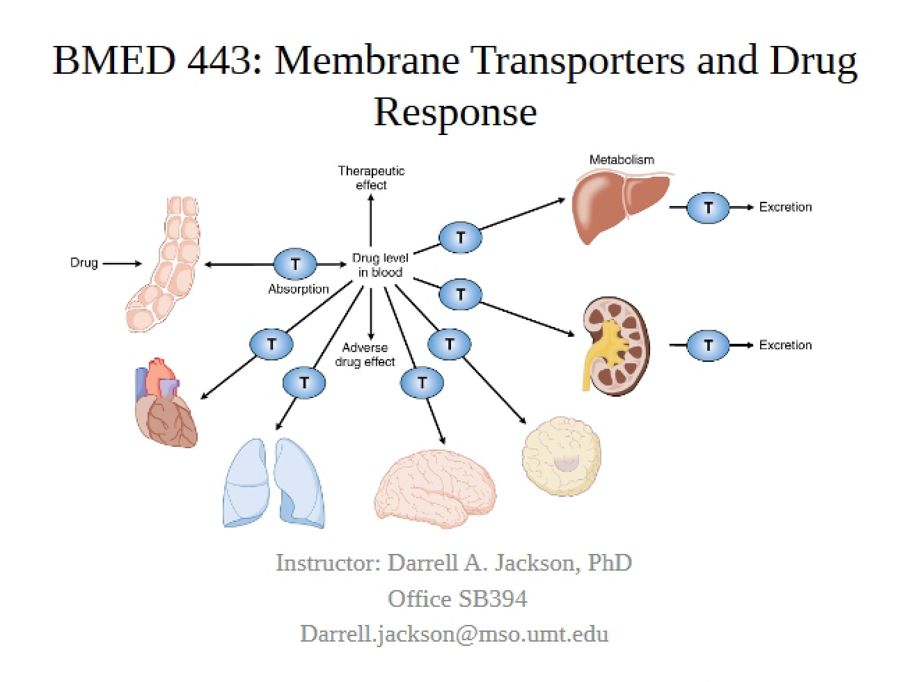 Student Notes Membrane Transporters