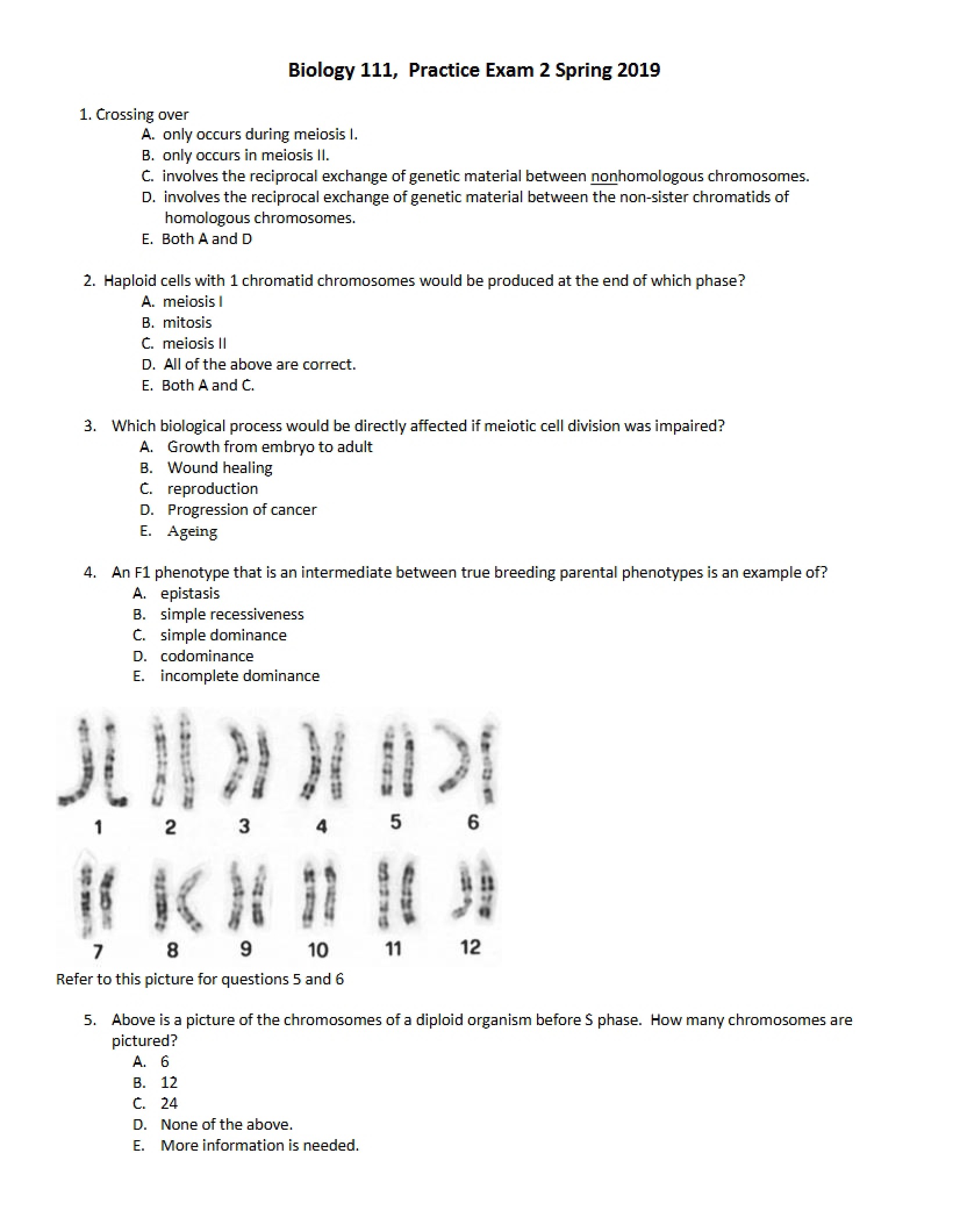 Practice Biology Exam
