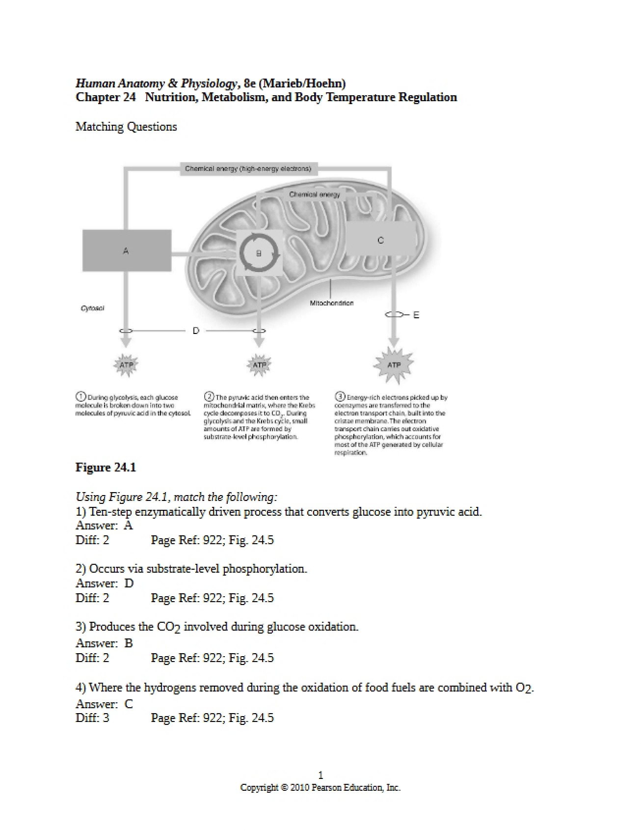 Test Bank for Chapter 24