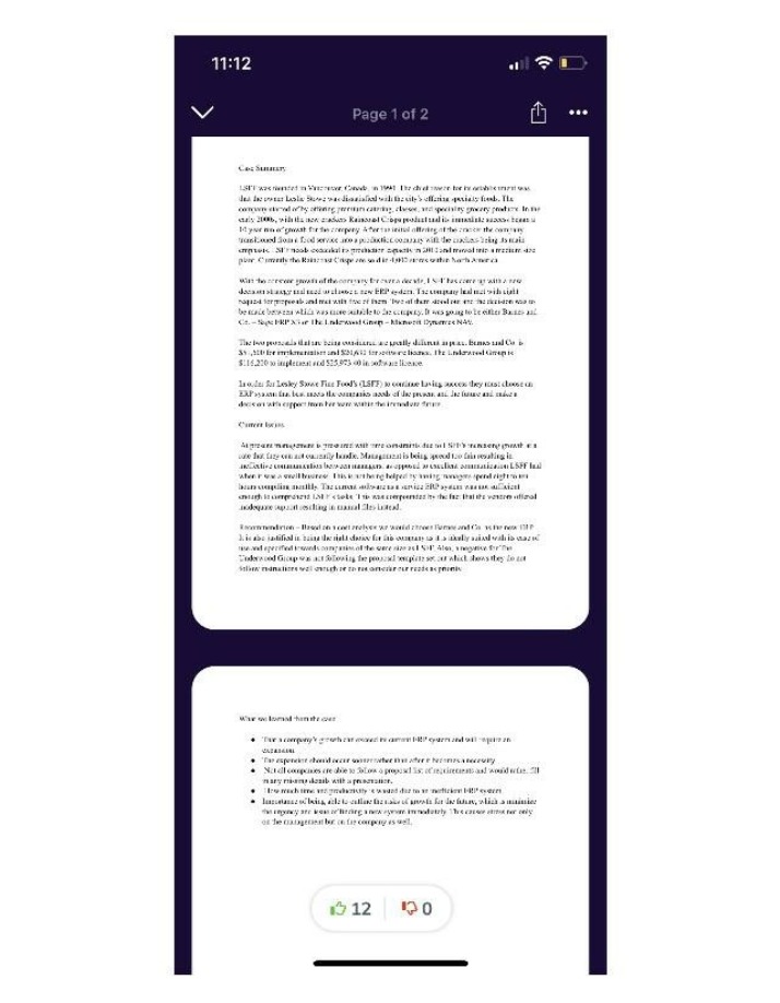 ERP System Analysis - LSFF