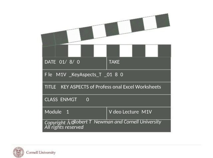 Professional Excel Worksheets - Key Aspects