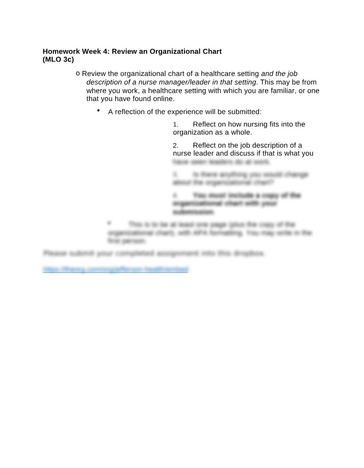 Review of Nurse Manager Job Description and Organizational Chart