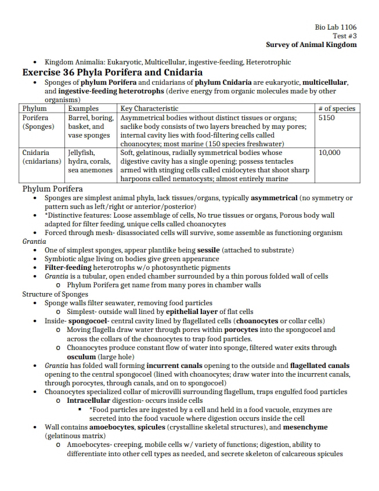 Cnidaria and Porifera Phyla Exercise 36