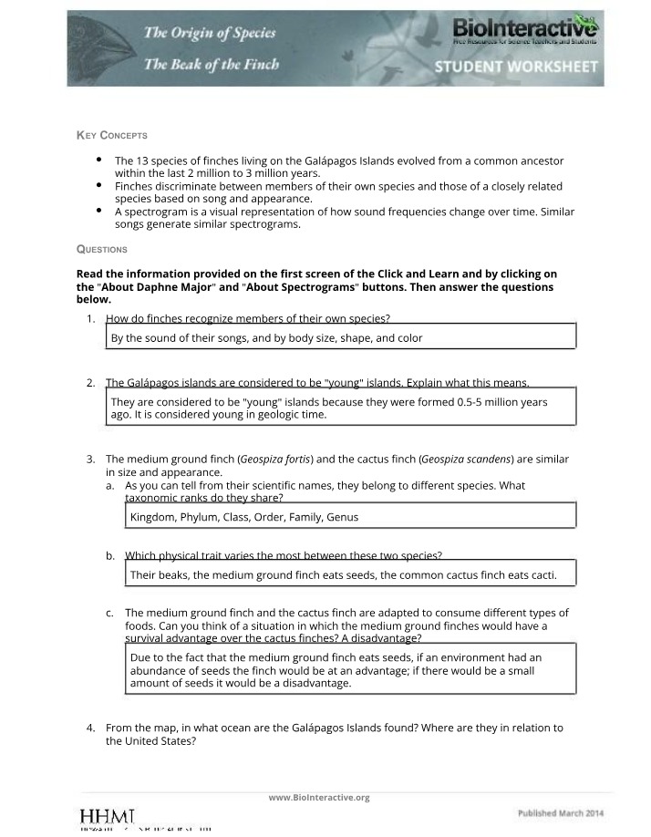 Worksheet on The Beak of the Finch