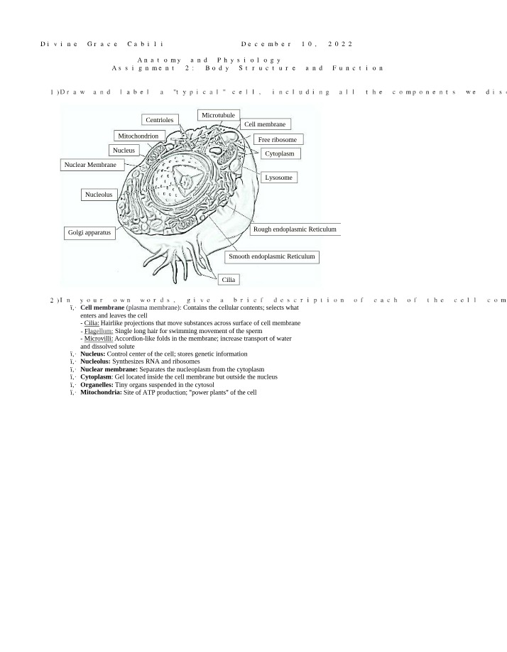 Assignment 2 - Anatomy and Physiology