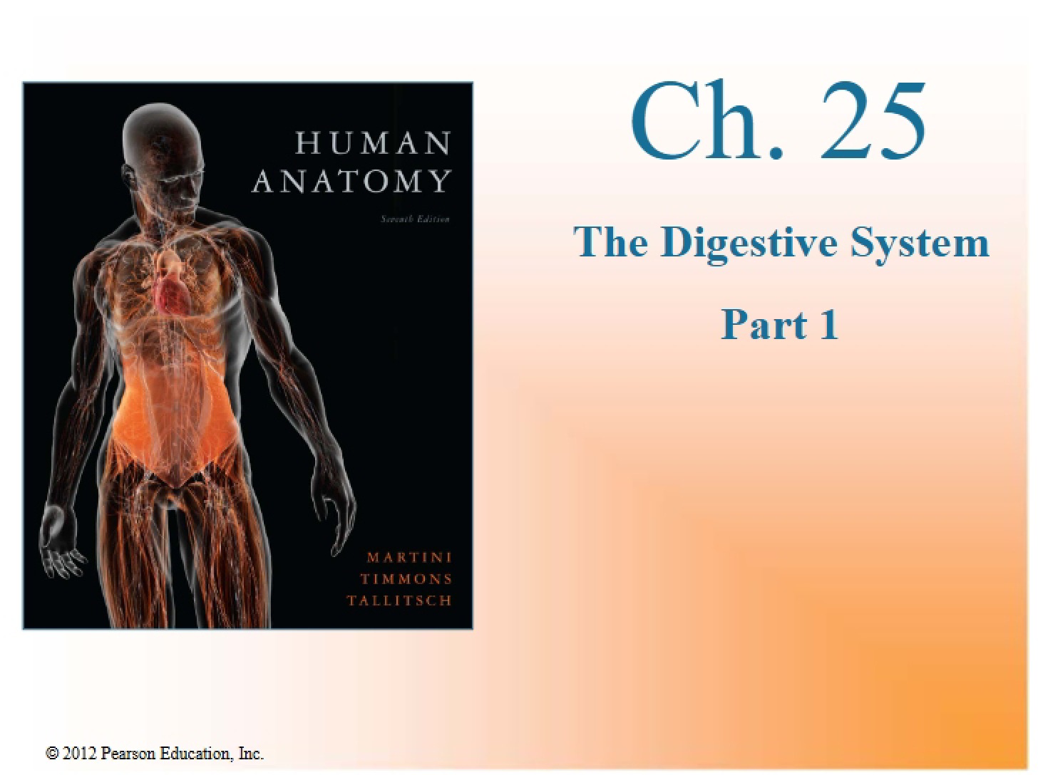 Digestive System Part I (Lecture 26)