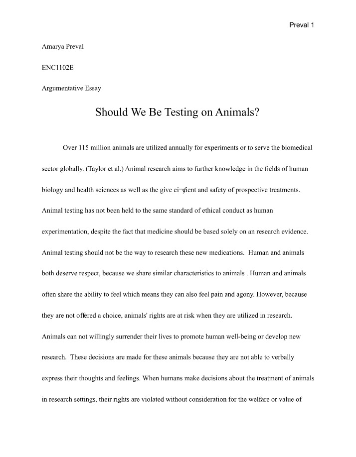 Testing on Animals - Exploring the Ethics