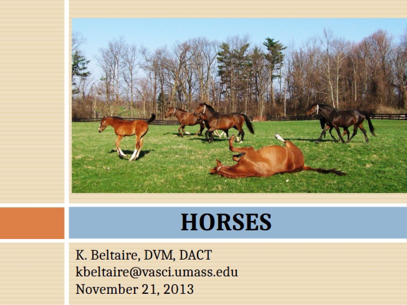 Equine Science (Lecture 19)