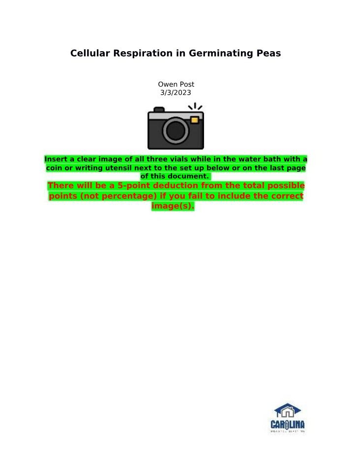 Lab Report - Cellular Respiration in Germinating Peas
