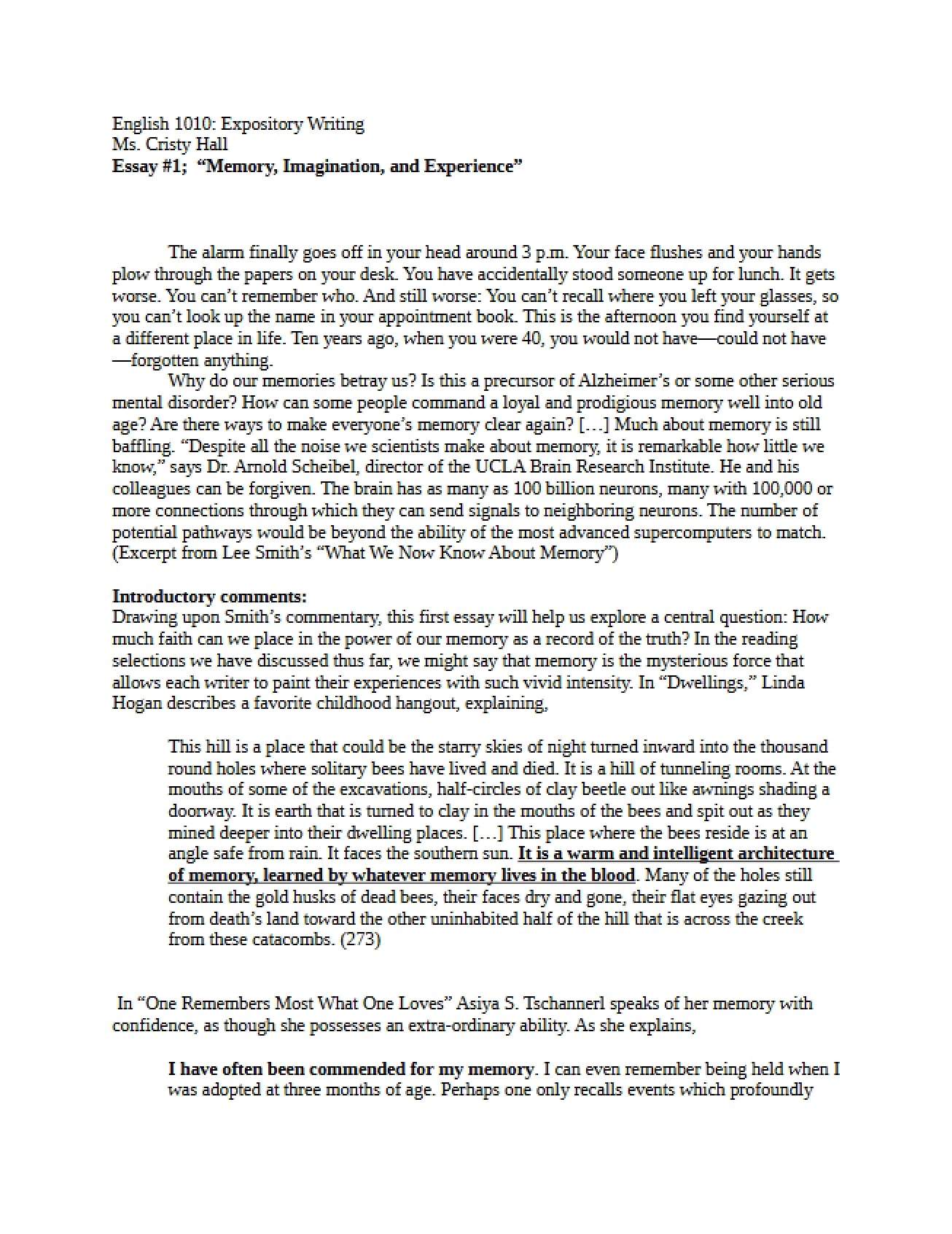 Expository Essay