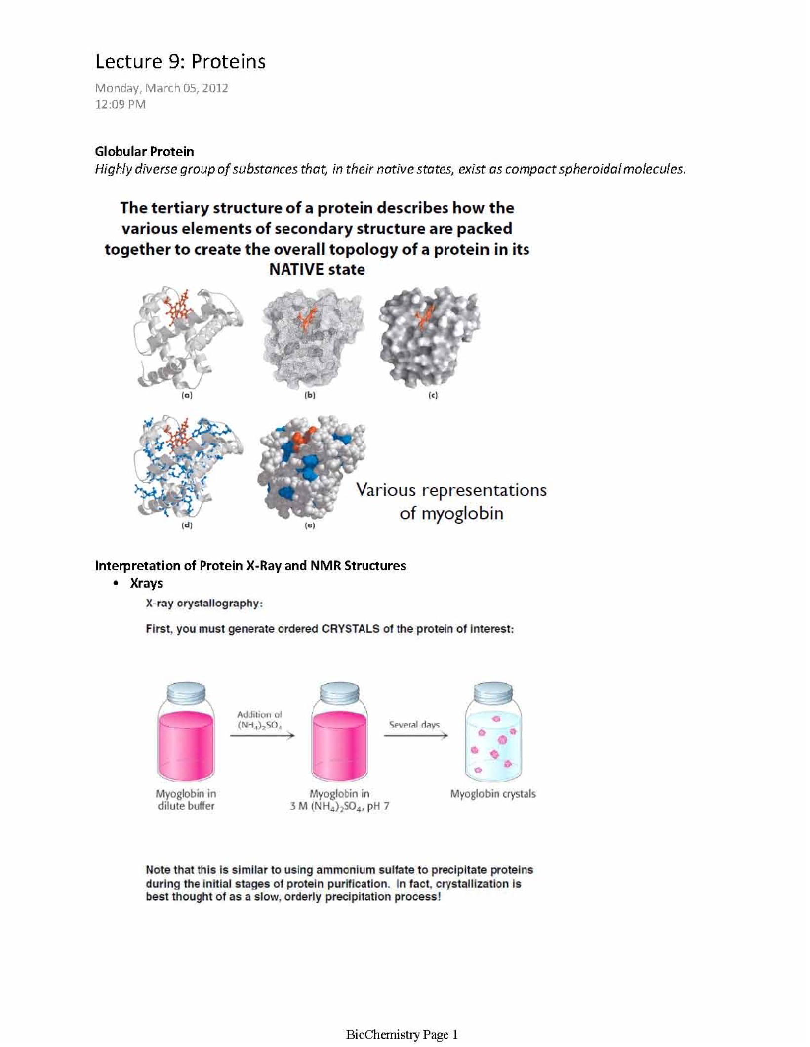 Protein Overview