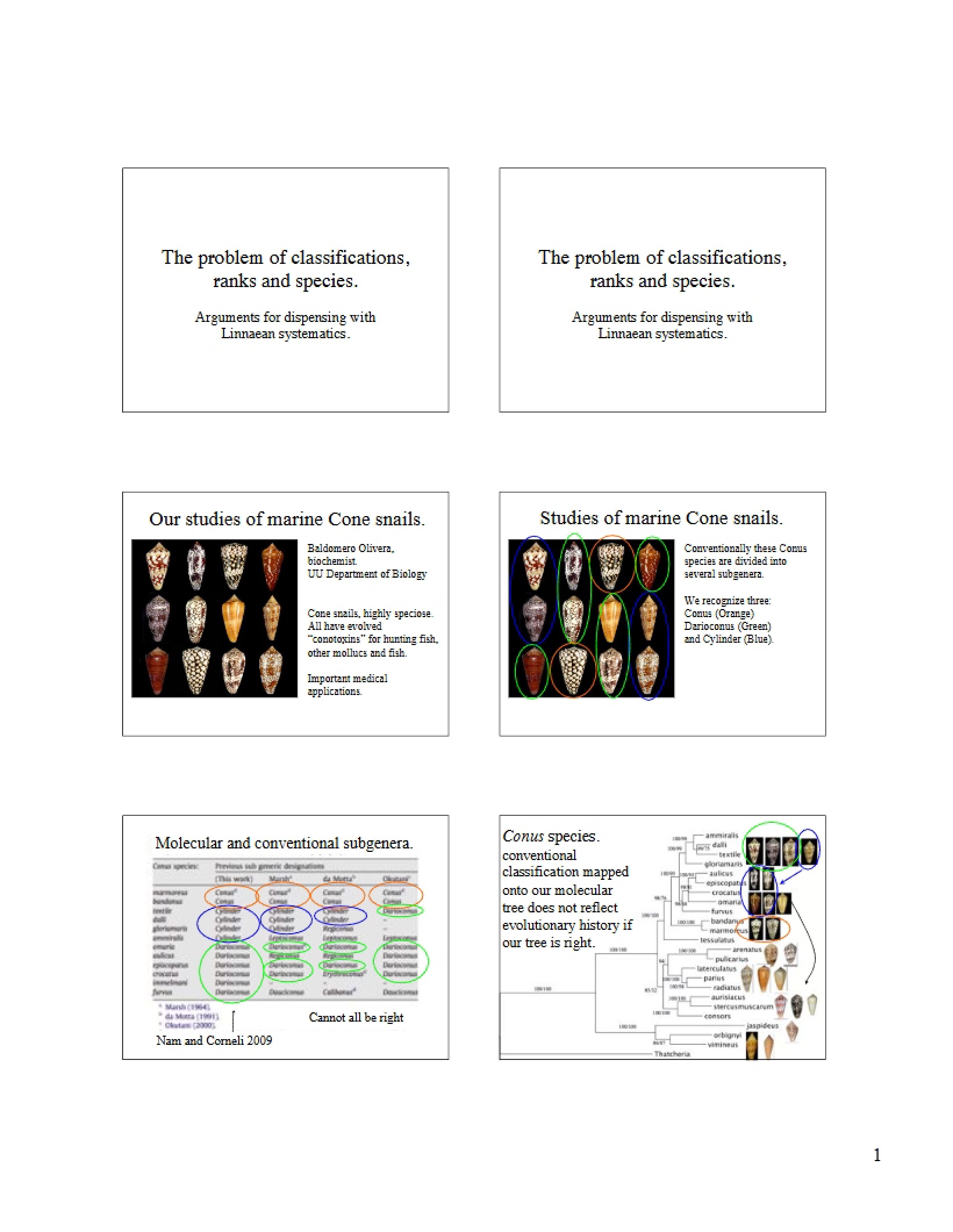 Species, Ranks, and Classifications Problems