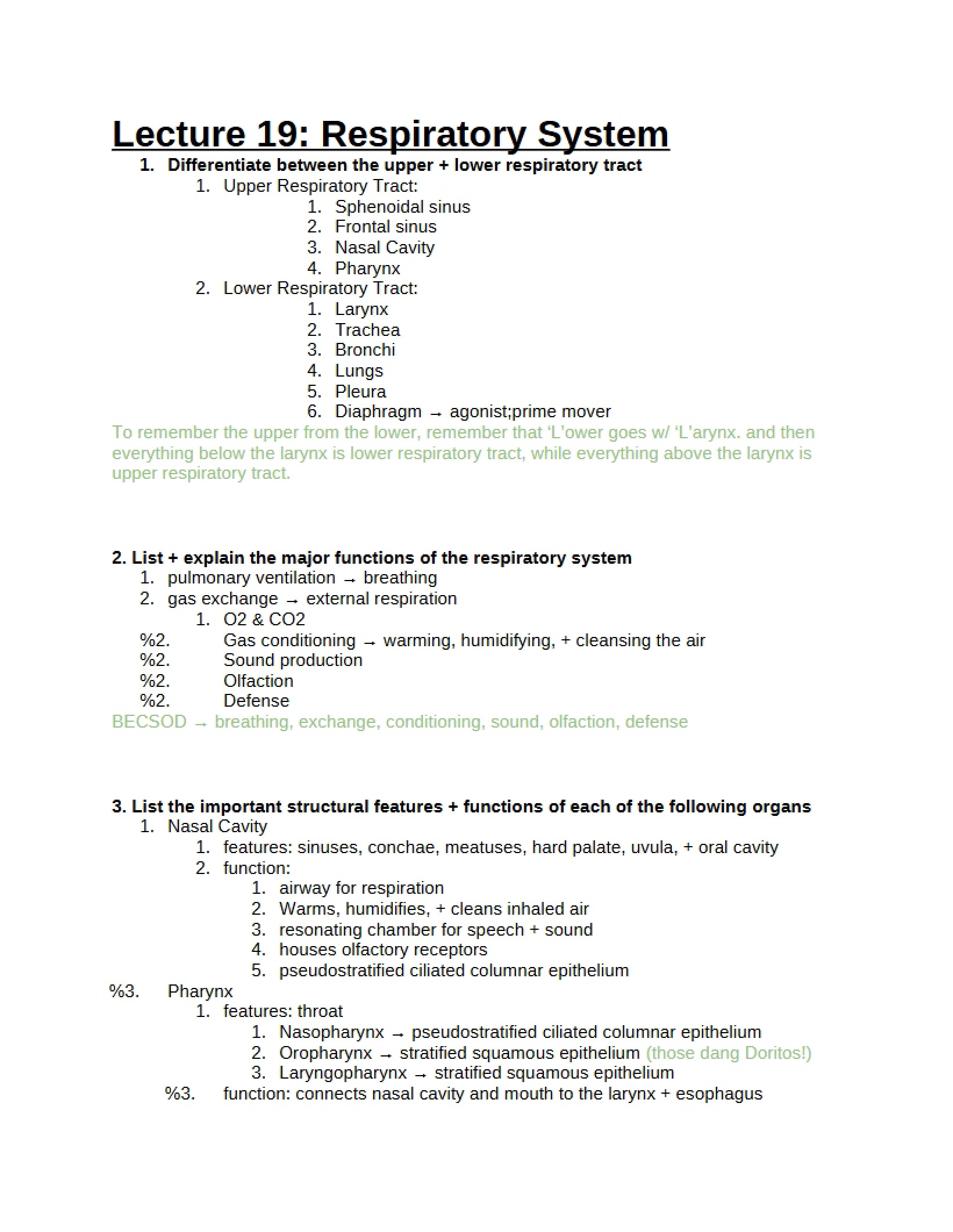 Respiratory System - Lecture 19