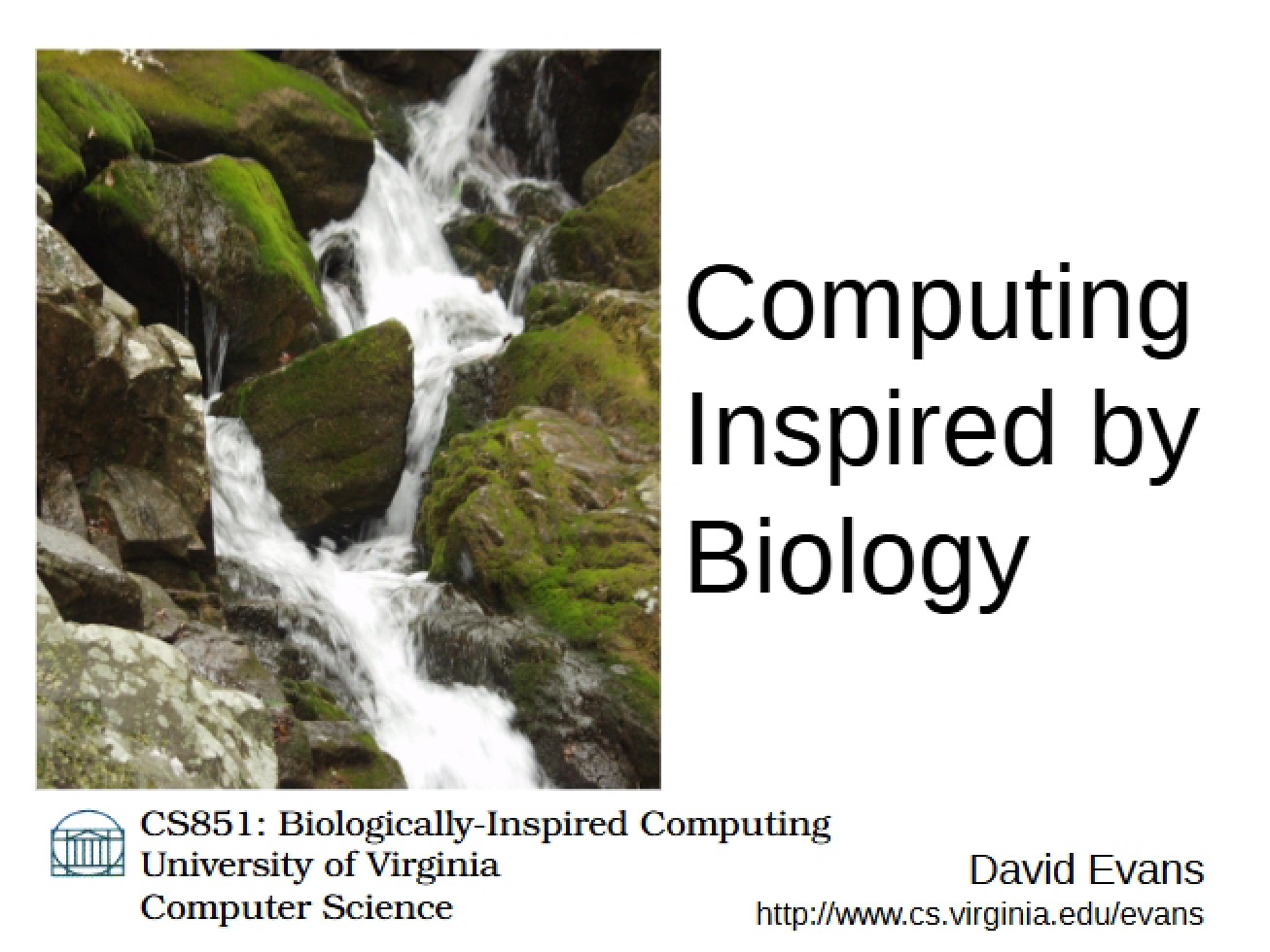 Biology-Inspired Computing