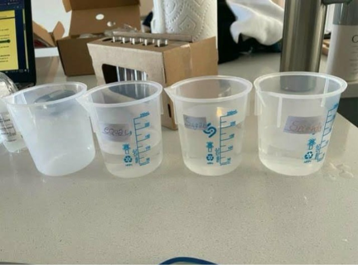 Yeast Fermentation Lab 9