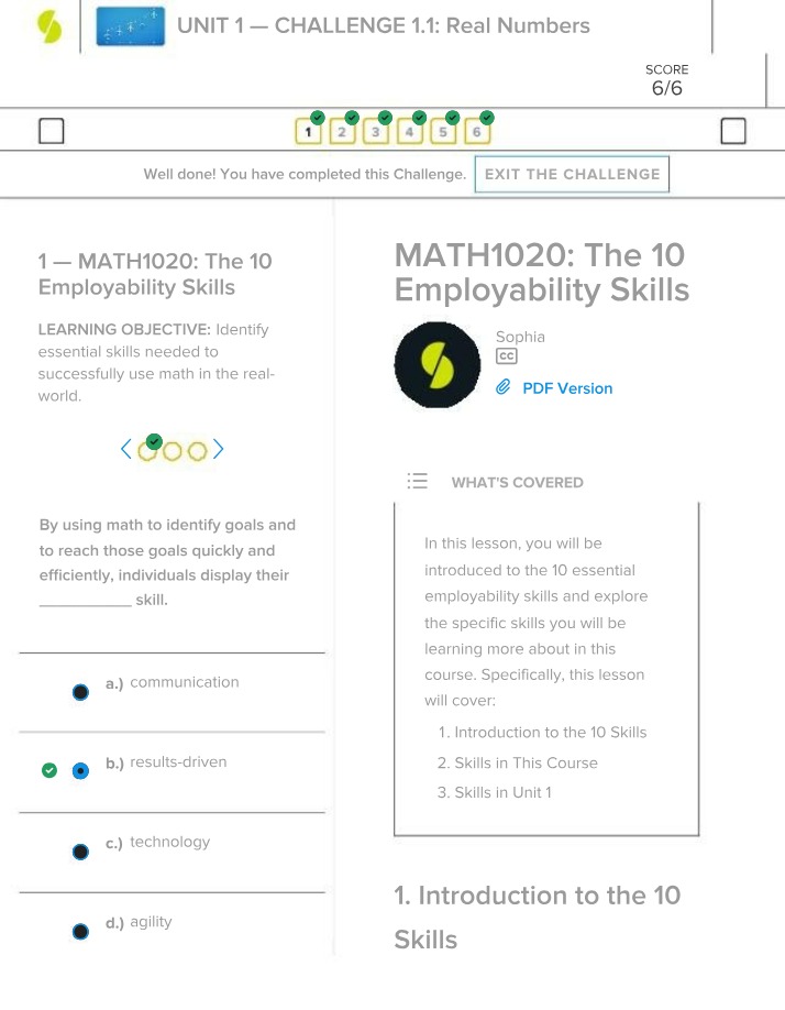 Challenge 1.1 - Real Numbers and Employability Skills