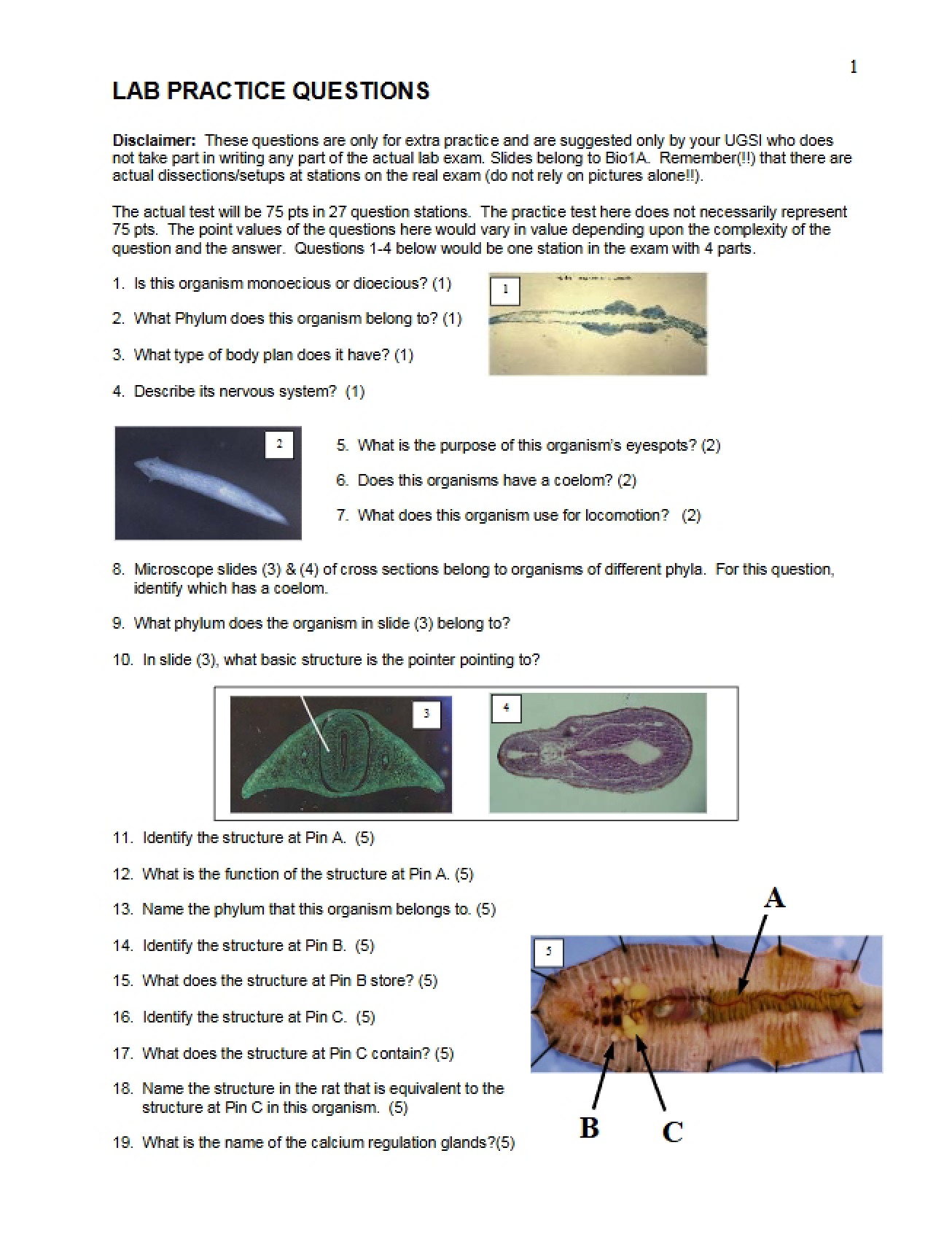 Practice Questions for Laboratory